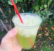 Cucumber Lime Cooler